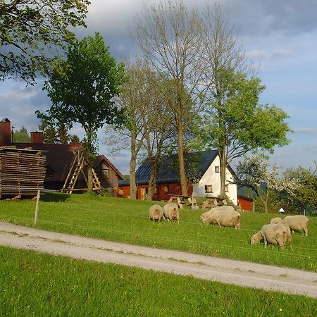 Hostal Na Zvonici Paseky nad Jizerou Exterior foto