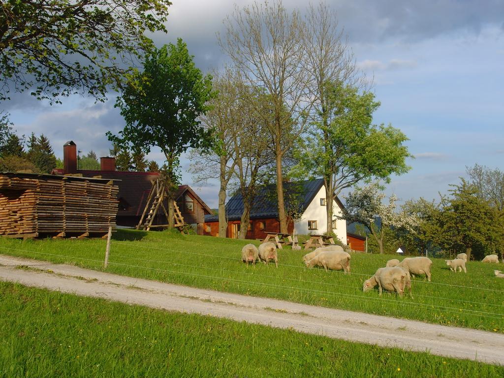 Hostal Na Zvonici Paseky nad Jizerou Exterior foto