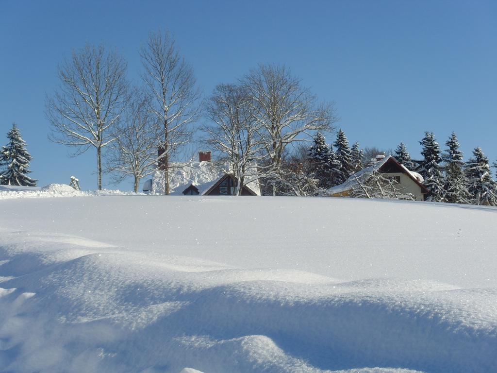 Hostal Na Zvonici Paseky nad Jizerou Exterior foto